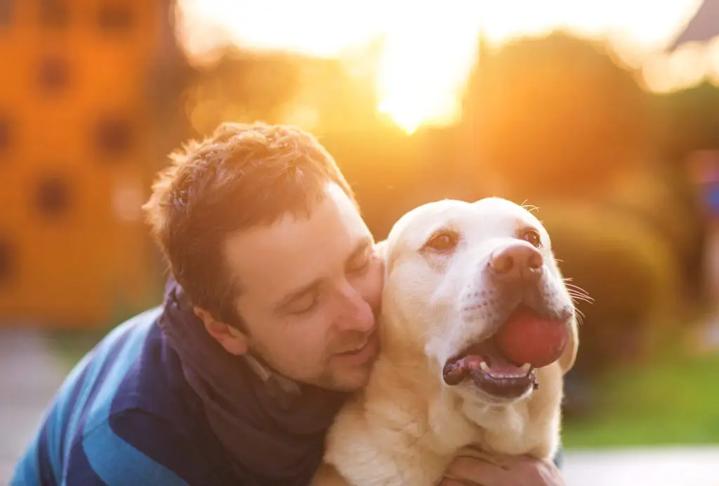 Man embracing his happy yellow Labrador outdoors at sunset, sharing a peaceful, hopeful moment.